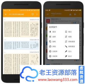 小黄鸟抓包大师 v3.3.6脱壳/去验证/专业/会员版-老王资源部落