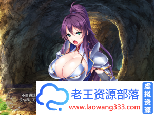 「ADV」「绝对忠诚的汝姬骑士飞机·杯？完整汉化版」「700M/PC游戏/全CG+特典CG集」-老王资源部落