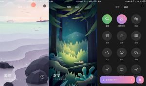 安卓小米白噪音v2.2.0绿化版-老王资源部落