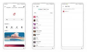 极乐v8.0 超多正版音乐 免费下载 无损音质-老王资源部落