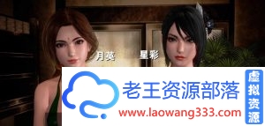 [3D/全动态] 真三国无双8：绅士版3D同人作品全收集+1.31全DLC版+MOD+游戏本体 [100G]-老王资源部落