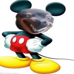 糕手的头像-老王资源部落