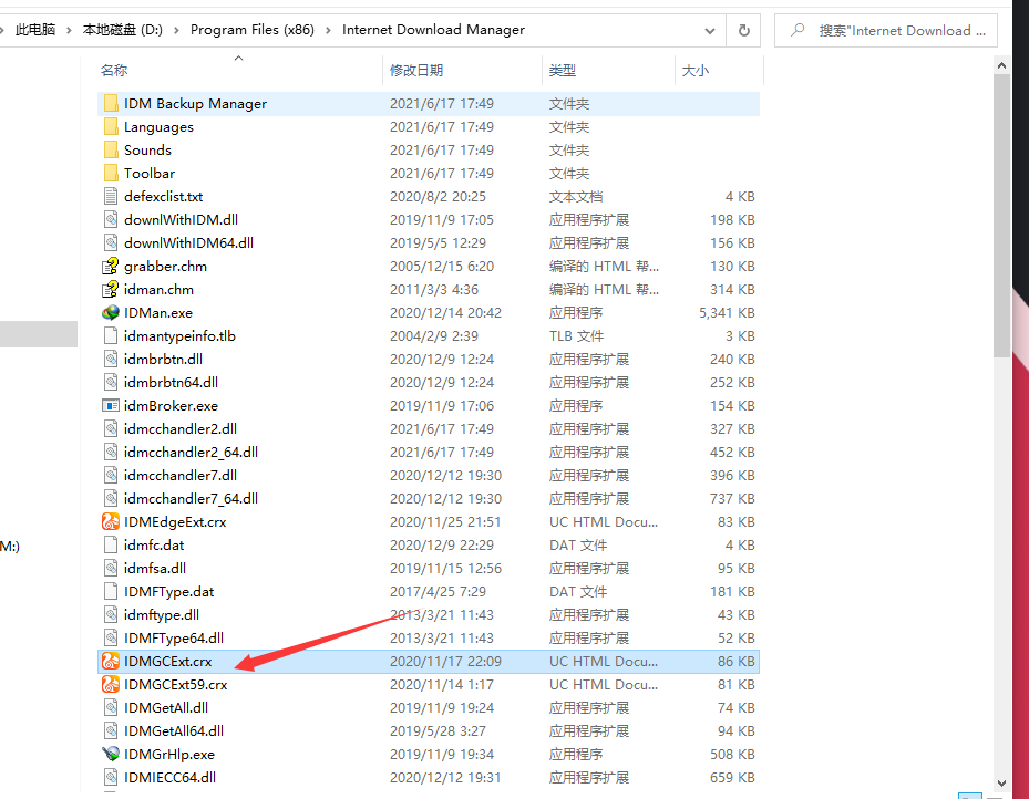 图片[4]-【提高下载速度】Internet Download Manager下载使用教程（软件设置+下载演示）-老王资源部落