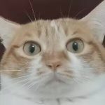 渣重回的头像-老王资源部落