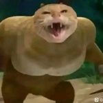 一位柳叶的头像-老王资源部落